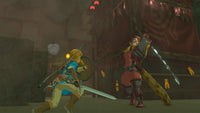 Nintendo Switch Game - The Legend of Zelda: Breath of the Wild Limited Edition Wholesale Supply