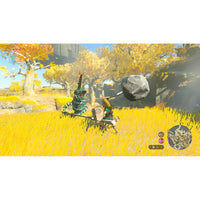 Nintendo Switch Game - The Legend of Zelda: Tears of the Kingdom Wholesale Supply