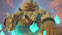 Nintendo Switch Game - The Legend of Zelda: Breath of the Wild Limited Edition Wholesale Supply