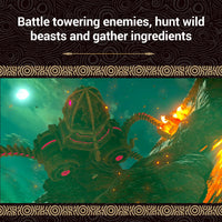 Nintendo Switch Game - The Legend of Zelda: Breath of the Wild Wholesale Supply
