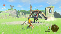 Nintendo Switch 2 Game - The Legend of Zelda: Tears of the Kingdom Wholesale Supply